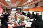 جلسه کمیته تخصصی MOOCs ملی با همکاری دانشگاه علوم پزشکی مجازی در دانشکده مجازی برگزارشد